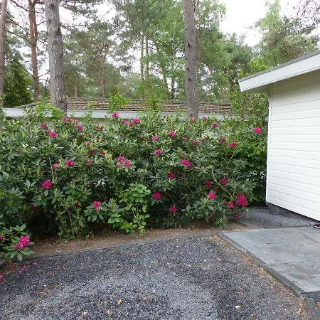 Huisje Weltevree Met Hottub Apartment Beekbergen